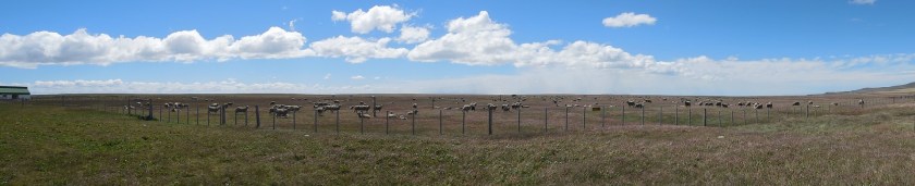 DSCN3165 (2) (Copier)