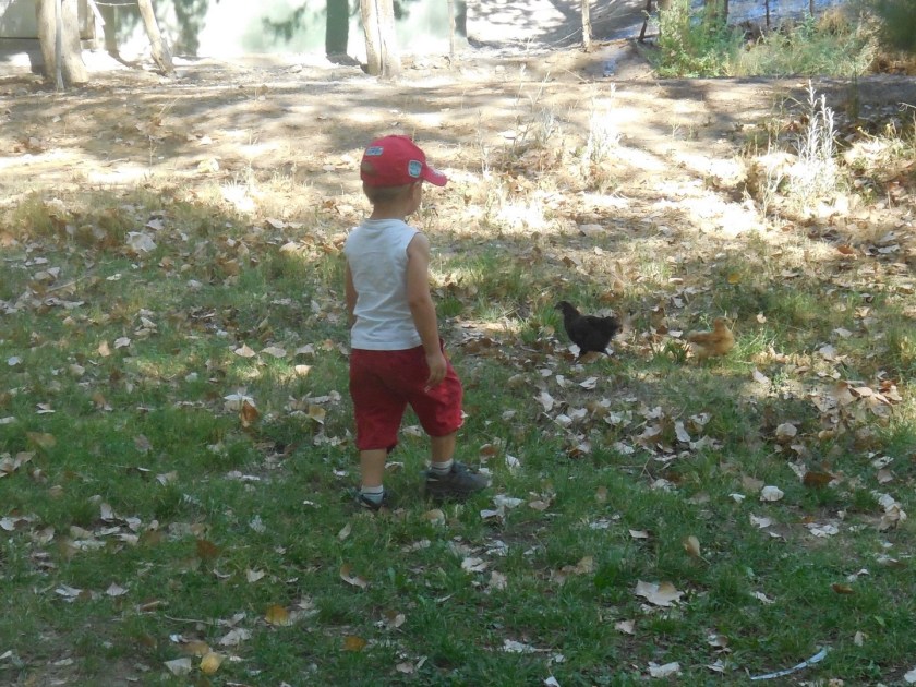 DSCN5186 (2) (Copier)