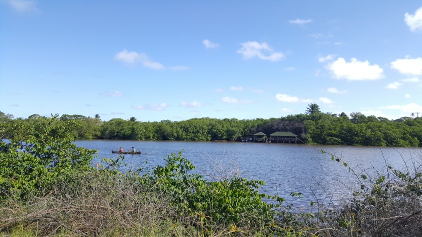 20180726_145301 (Copier)