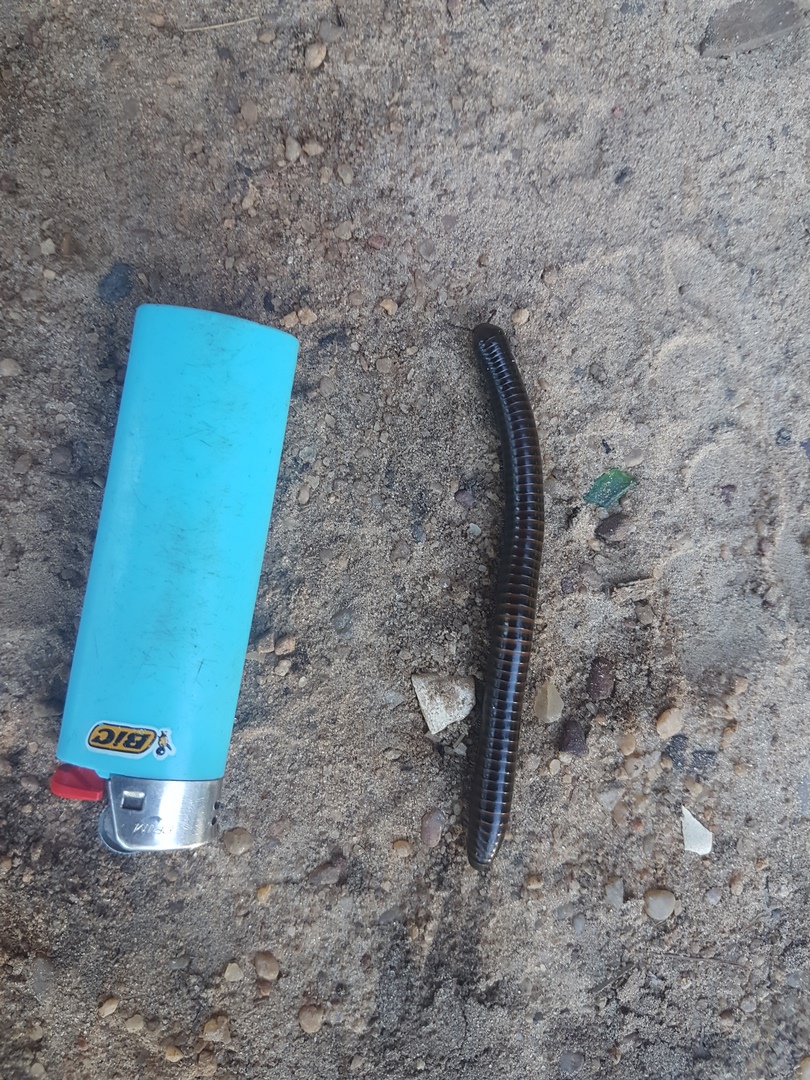 20180726_154844 (Copier)