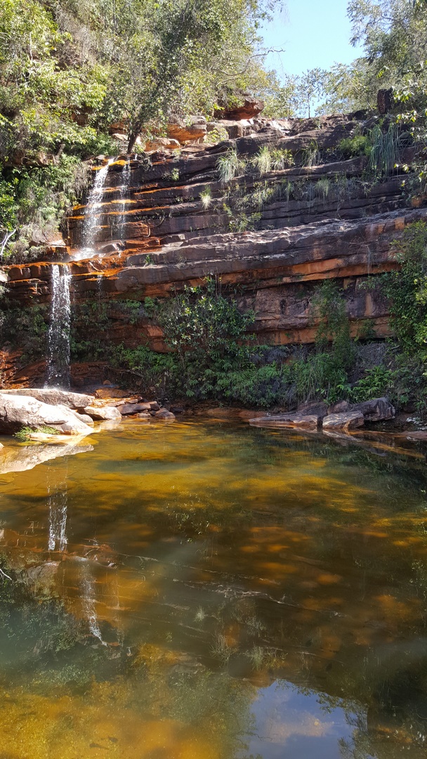 20180801_132954 (Copier)