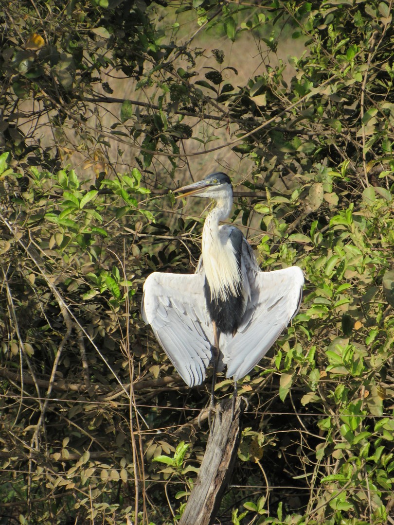 IMG_2211 (Copier)