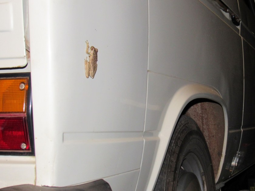 IMG_2809 (2) (Copier)