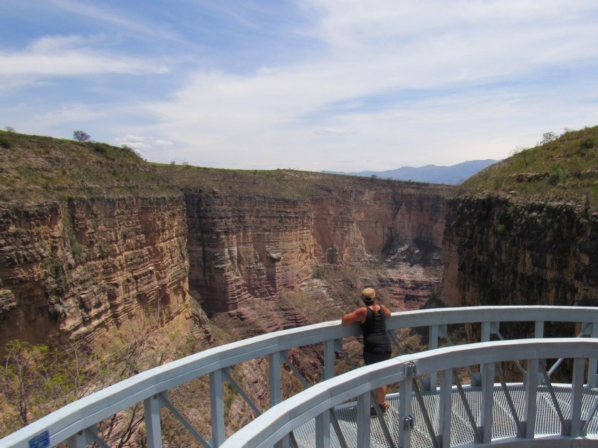 IMG_4202 (2) (Copier)