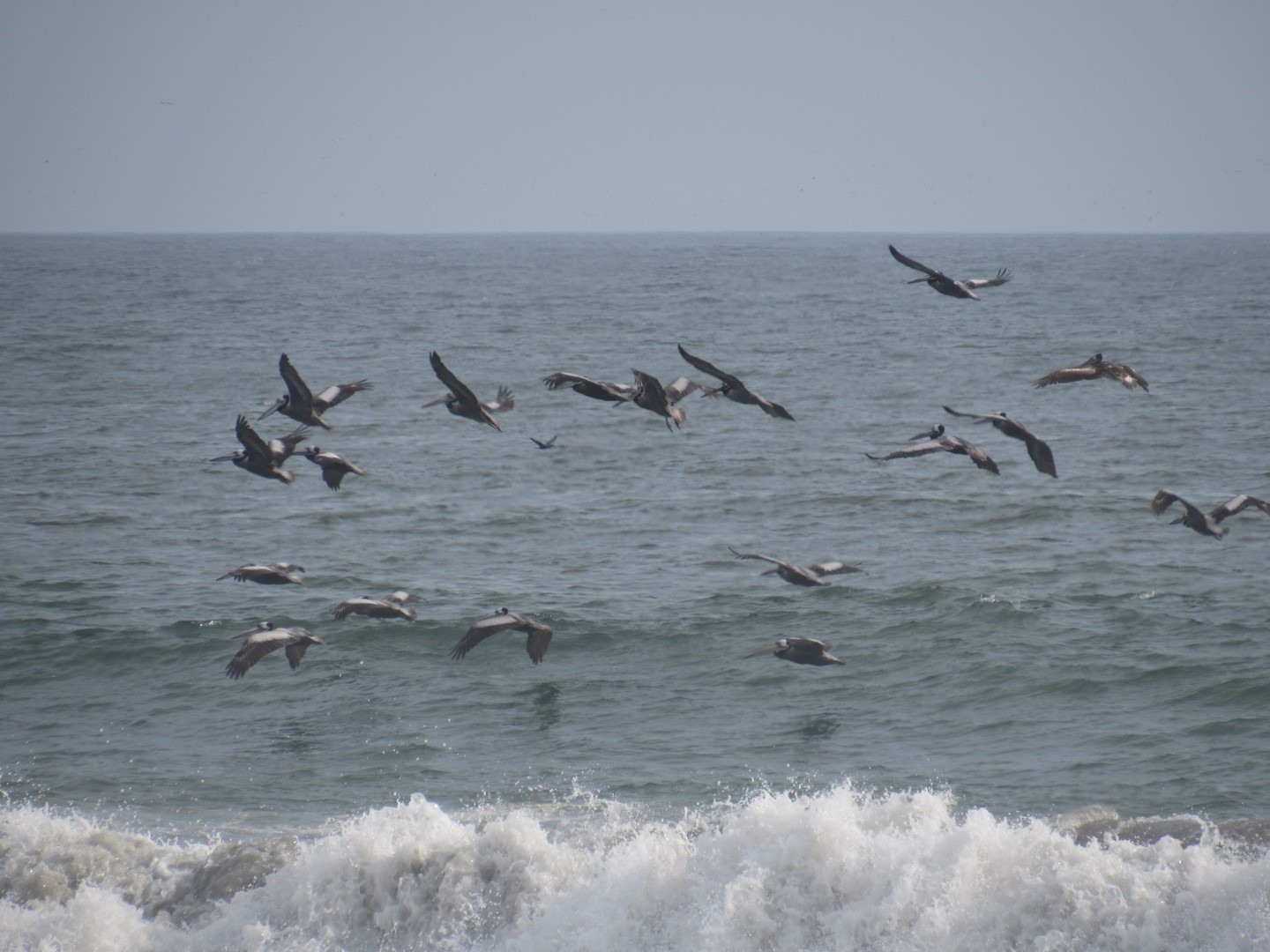 IMG_6307 (Copier)