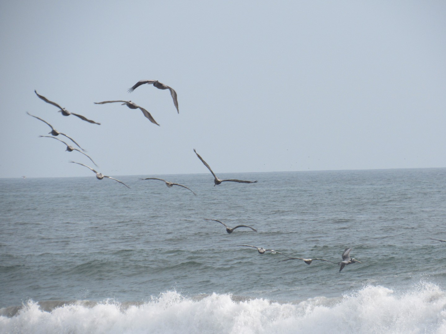 IMG_6315 (Copier)
