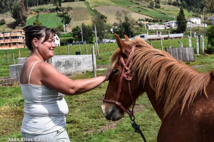 IMG-20190108-WA0006 (Copier)