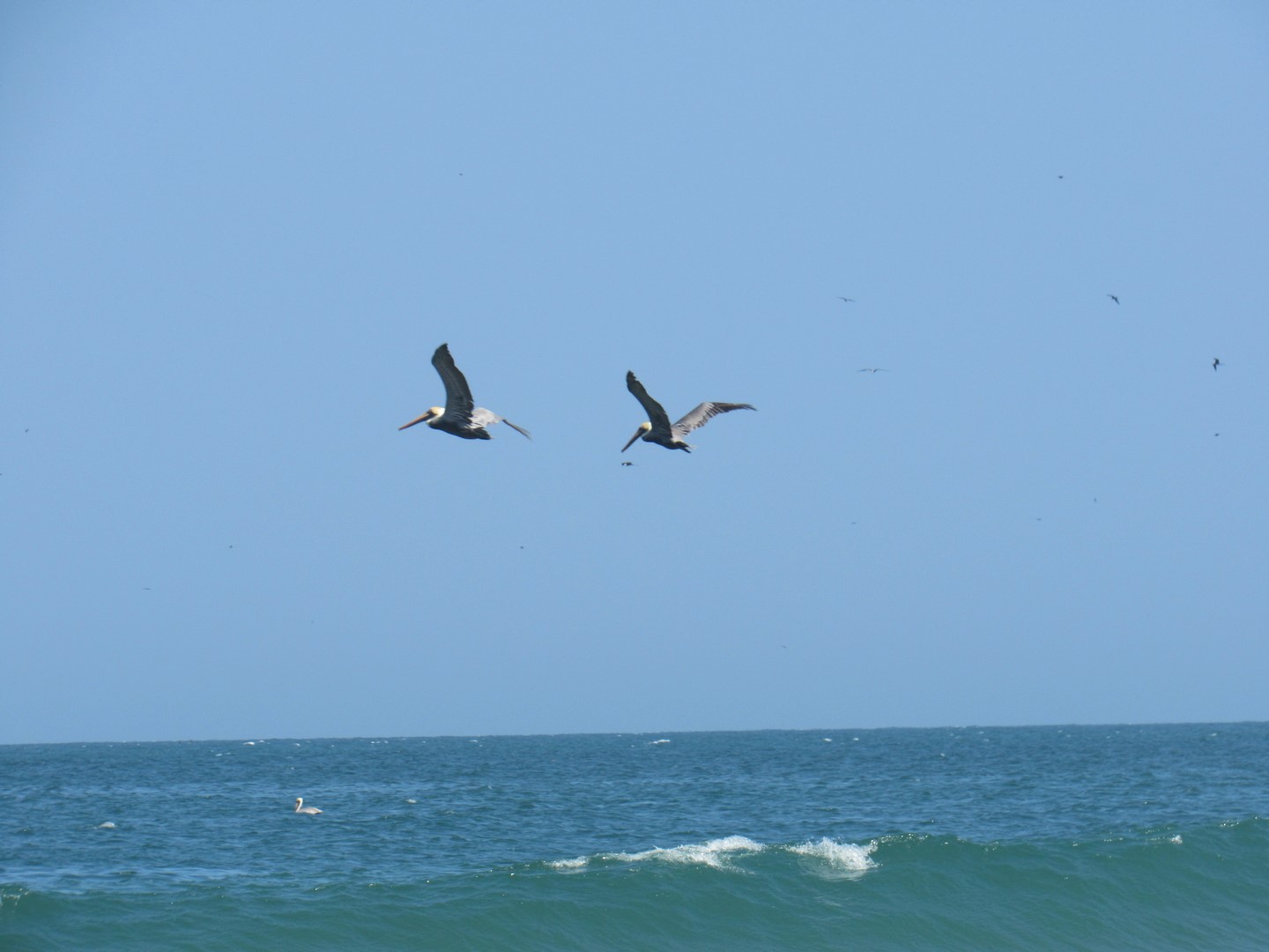 img_6816 (copier)