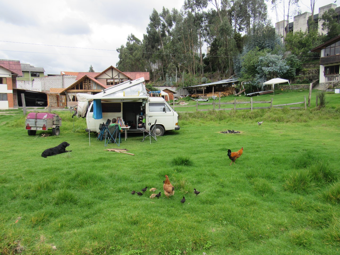 01.01-06.02.2019 : La diversité de l’Equateur