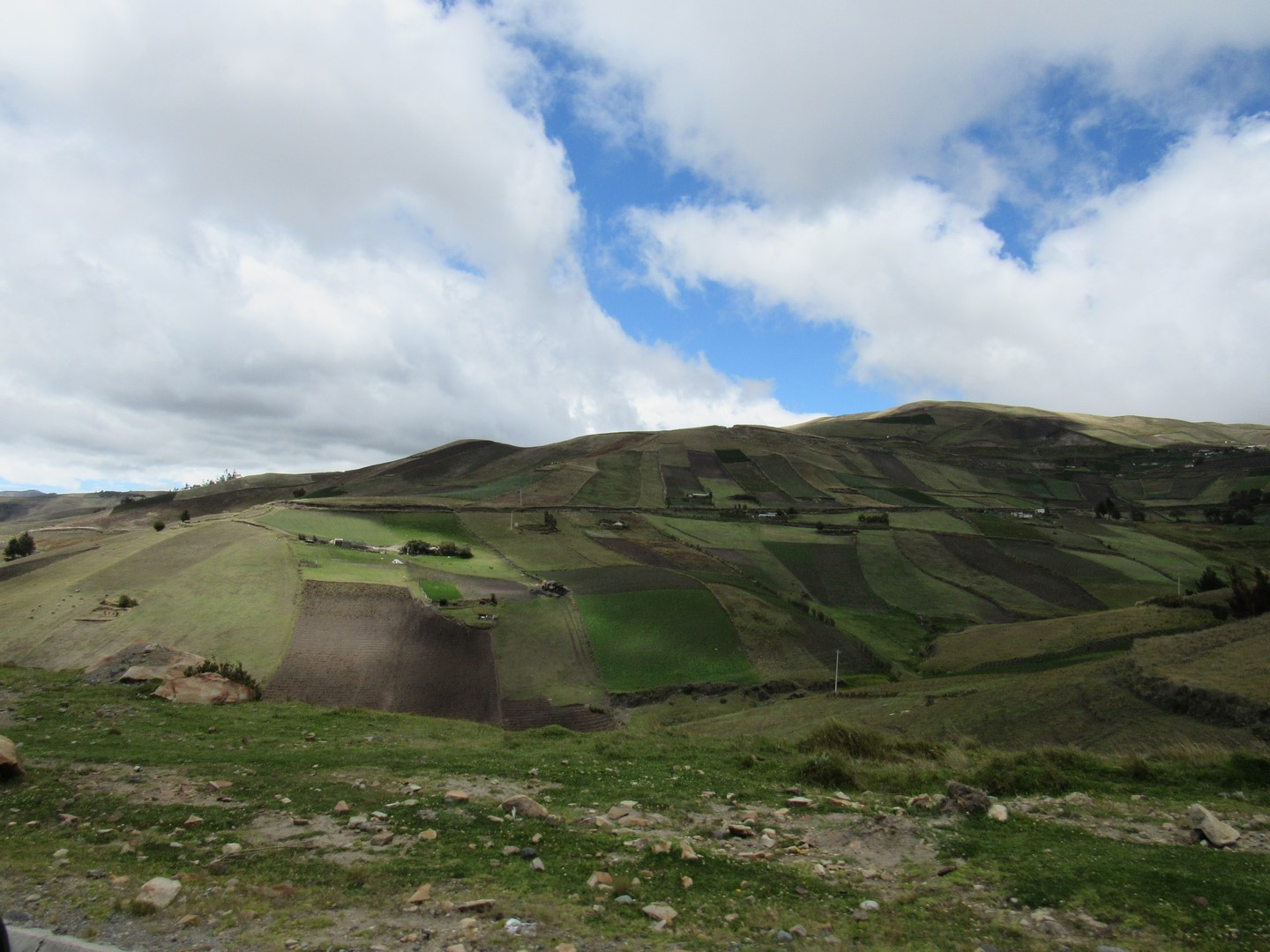 IMG_7755 (Copier)