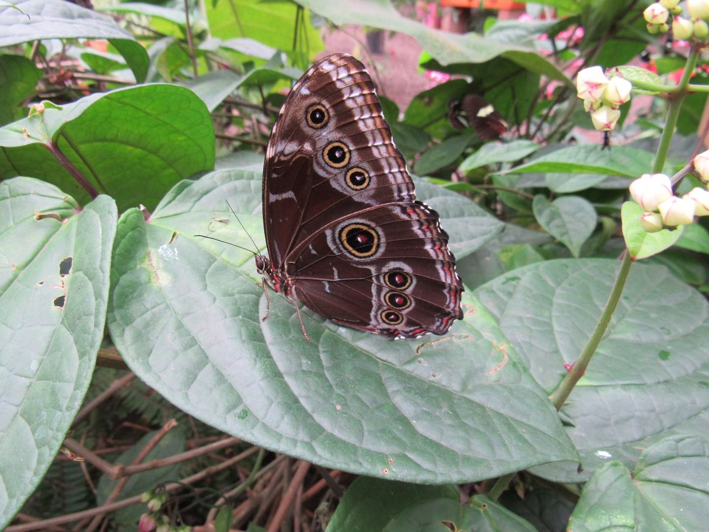 IMG_8064 (Copier)