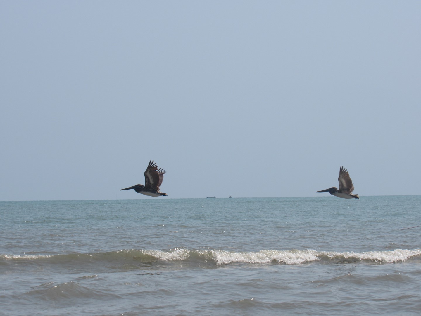 IMG_9886 (Copier)
